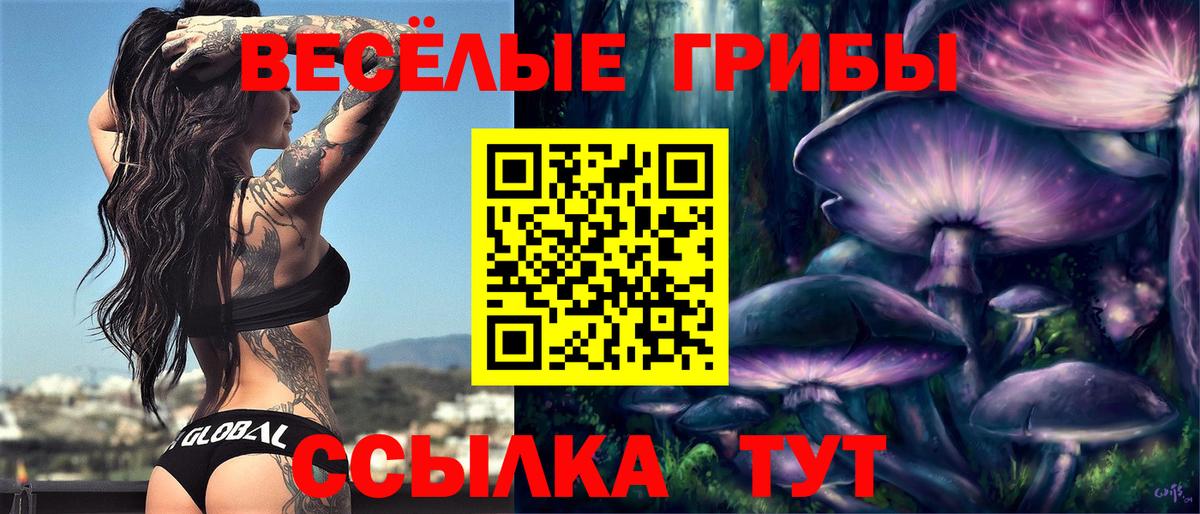 Галлюциногенные грибы Psilocybe Анапа
