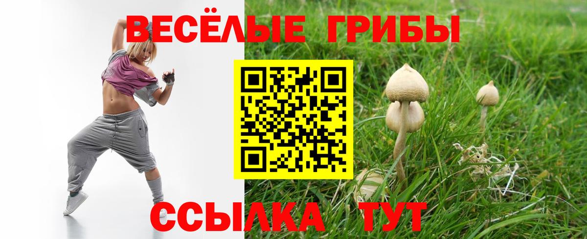 Анапа  Псилоцибиновые грибы Psilocybe  Галлюциногенные грибы GOLDEN TEACHER  Вход с VPN 
